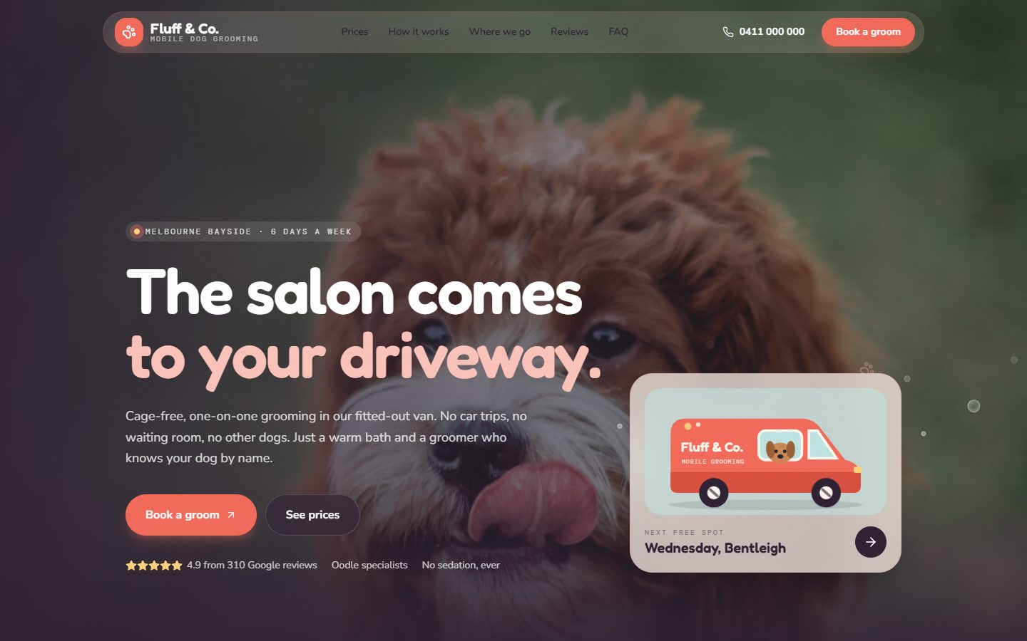 Fluff & Co. website homepage
